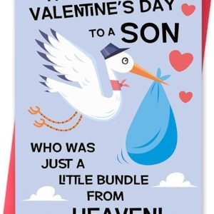 Valentines Day Card for Son,Lovely Valentines Day Gift from Dad Mom,A Little Bundle from Heaven